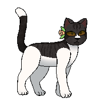 Sucker Pelt